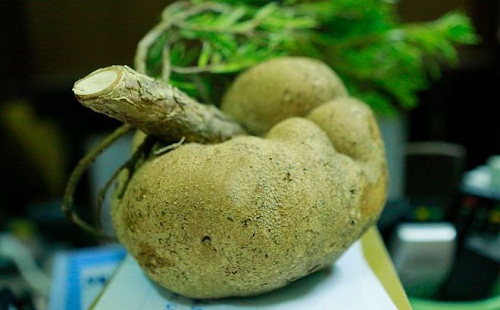 TOP 3 SẢN PHẨM GIẢM C&Acirc;N PHỤC LINH C&Oacute; HIỆU QUẢ GIẢM C&Acirc;N TỐT