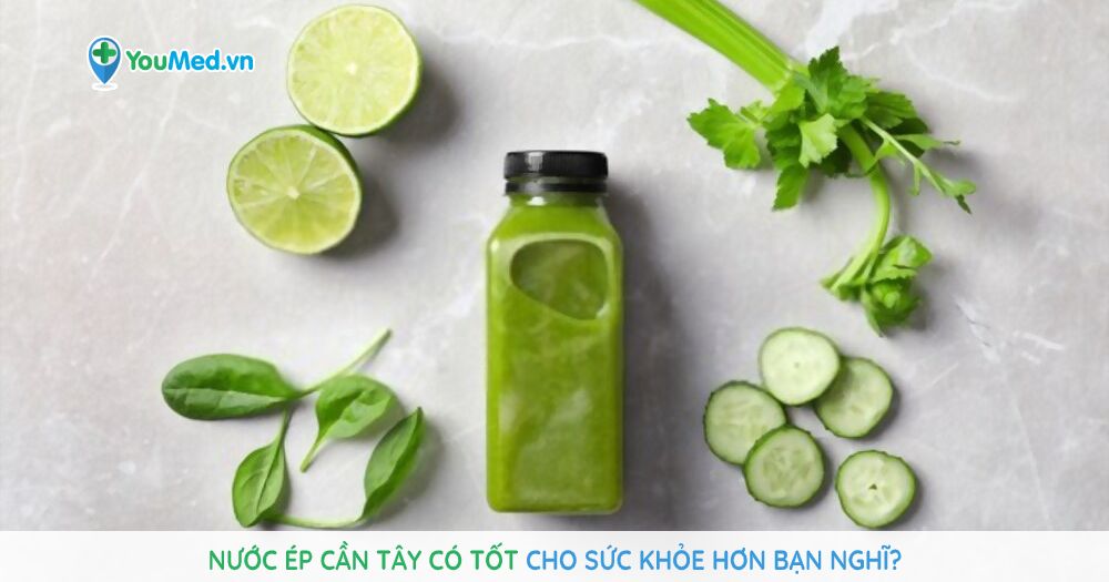 6 l&yacute; do sức khỏe bạn cần uống nước &eacute;p dưa chua