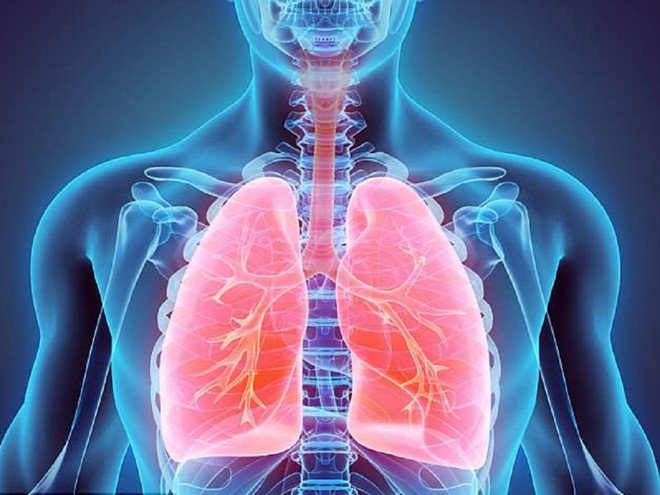 SẢN PHẨM DẪN ĐẦU VỀ C&Ocirc;NG DỤNG THẢI ĐỘC CƠ THỂ (DETOX CƠ THỂ) TỐT NHẤT THEO C&Ocirc;NG NGHỆ ĐỨC