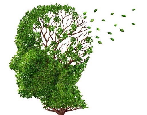 Bạn muốn biết g&igrave; về chứng sa s&uacute;t tr&iacute; tuệ?