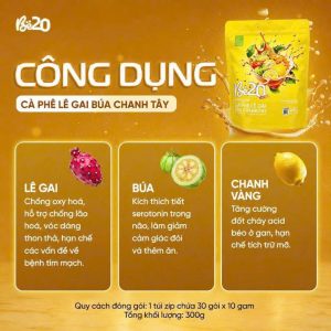 CA-PHE-CHANH-TAY-CONG-DUNG